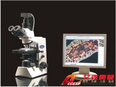 迅數MIC-3電子目鏡