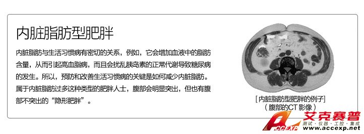 內臟脂肪型肥胖 內臟脂肪型肥胖