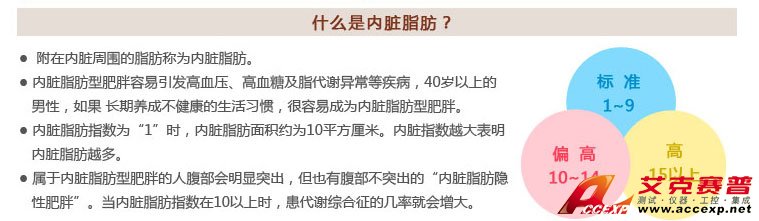 什么是內臟脂肪及內臟脂肪型肥胖